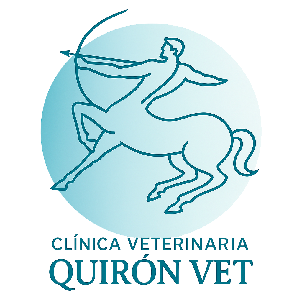 Logotipo Qiron Vet